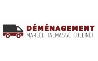 logo entreprise déménageur